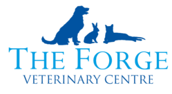Forge Vets