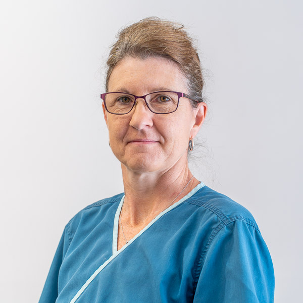 Vicky Haygreen - The Forge Vets (Web) 2026-08